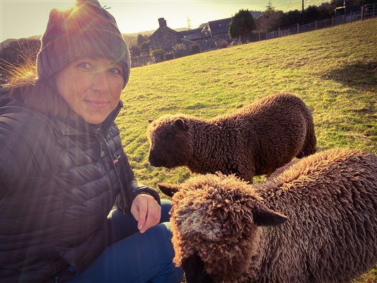 Carys with our friendly lambs with Tyddyn Du Farmhouse in the background at Snowdonia Holidays Tyddyn du Farm Eryri dog friendly cottages luxury accommodation in North Wales